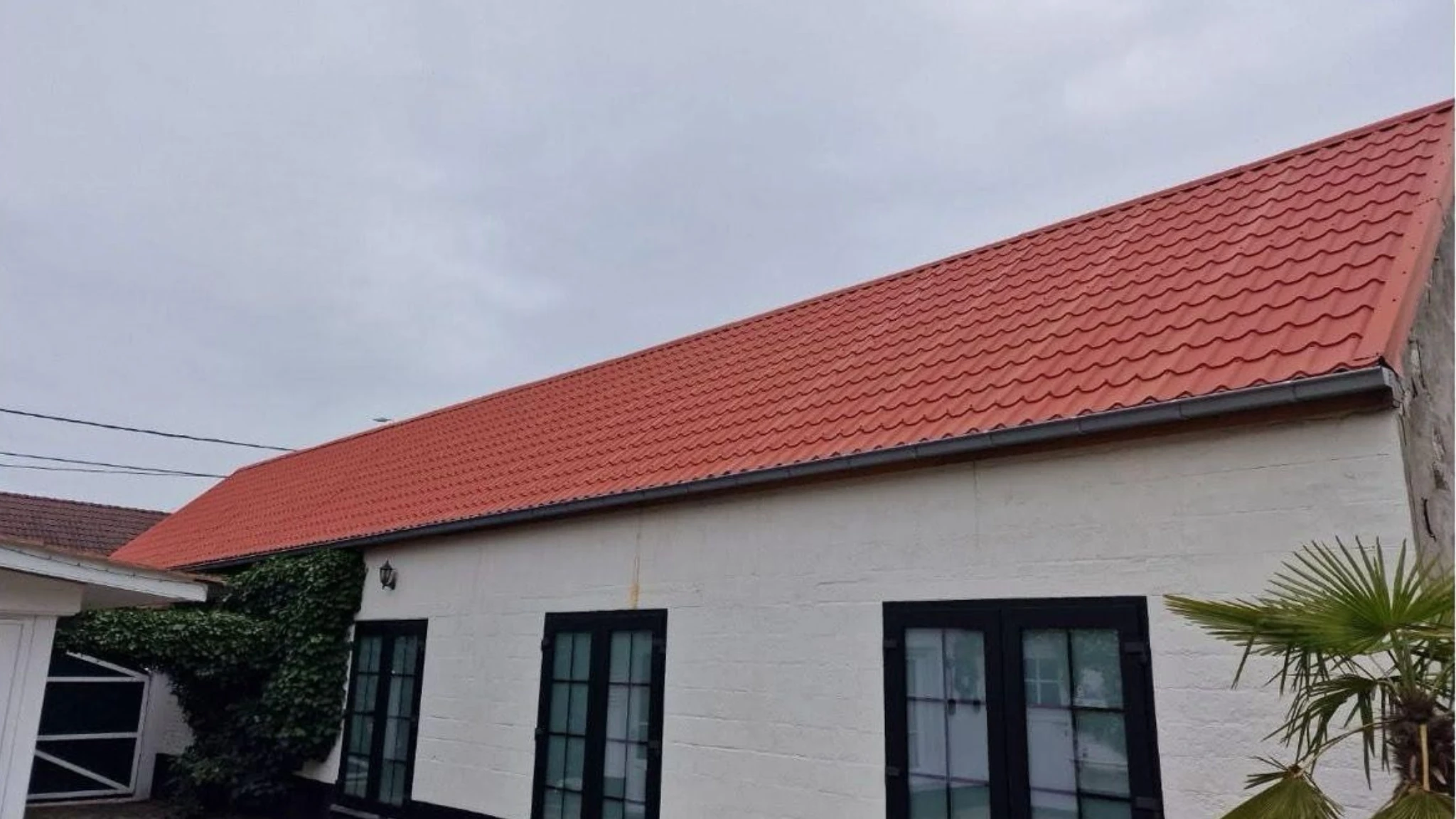 Dak Ontmossen Na.webp, leien-dak-ontmossen-softwash-ds-cleaning